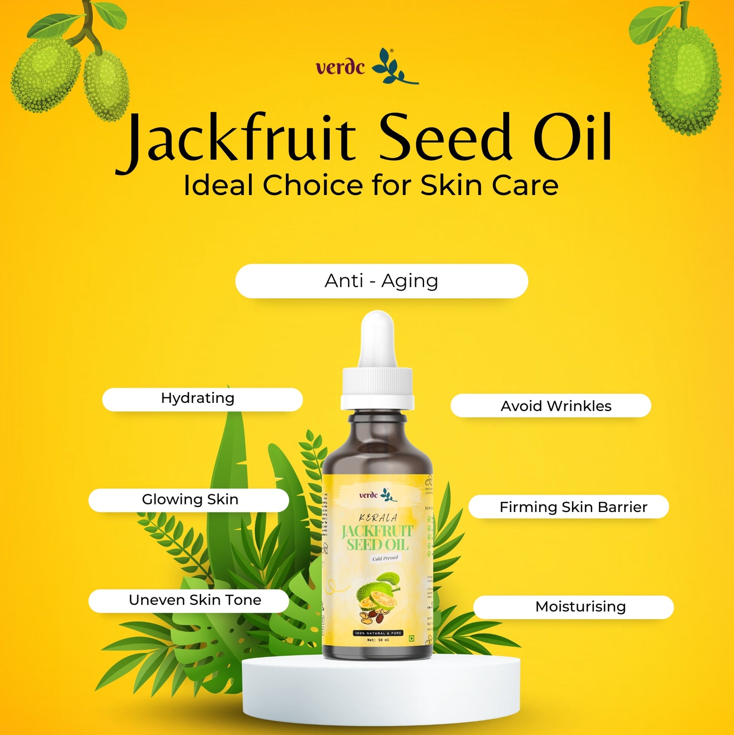 Premium Jackfruit Seed Oil for Face Beauty - Face Oil For Anti - aging - 50 ml